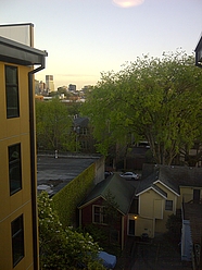 View from The Raleigh